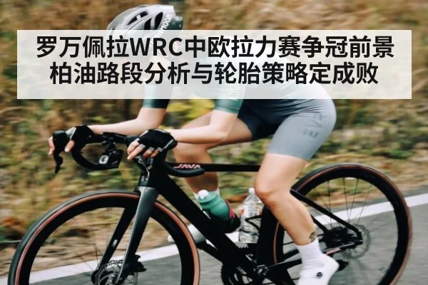 罗万佩拉WRC中欧拉力赛争冠前景 柏油路段分析与轮胎策略定成败